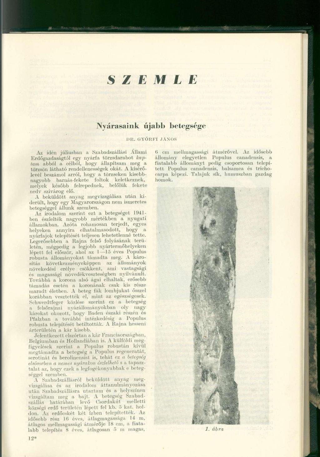 S Z E M L E Az idén júliusban a Szabadszállási Állami Erdőgazdaságtól egy nyárfa törzsdarabot kaptam abból a célból, hogy állapítsam meg a törzsön látható rendellenességek okát.