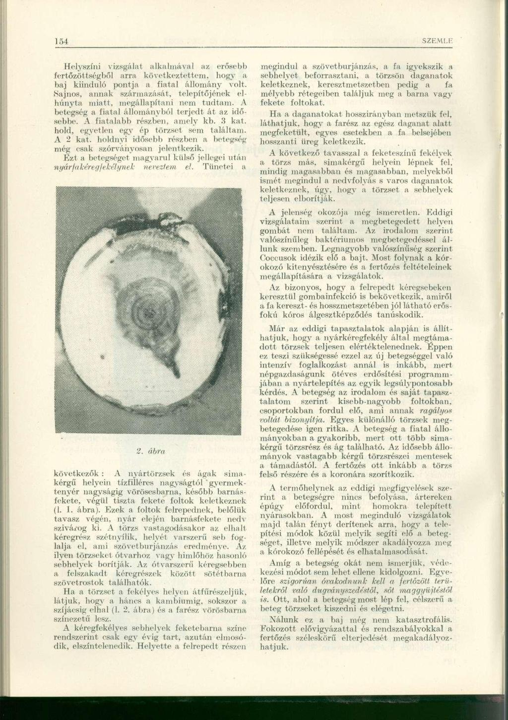Helyszíni vizsgálat alkalmával az erősebb fertőzöttségből arra következtettem, hogy a baj kiinduló pontja a fiatal állomány volt.