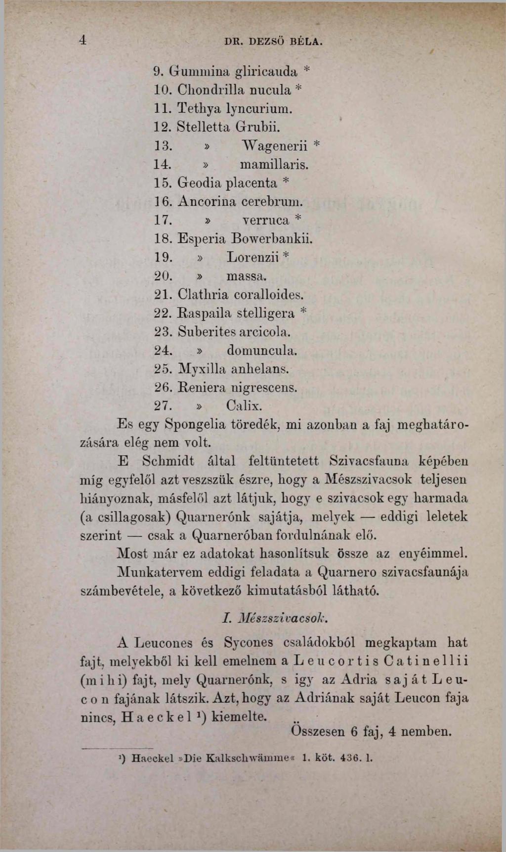 4 DR. DEZSŐ BÉLA. 9. Gummma gliricauda * 10. Cliondrilla nucula * 11. Tetliya lyncurium. 12. Stelletta Grubii. 13.» Wagenerii * 14.» mamillaris. 15. Geodia placenta * 16. Ancorina cerebrum. 17.