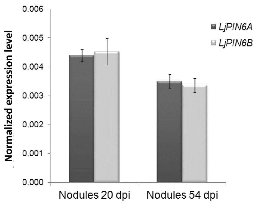 LjPIN6a LjPIN6b Figure S3. Normalized expression level of LjPIN6a and LjPIN6b in root nodules.