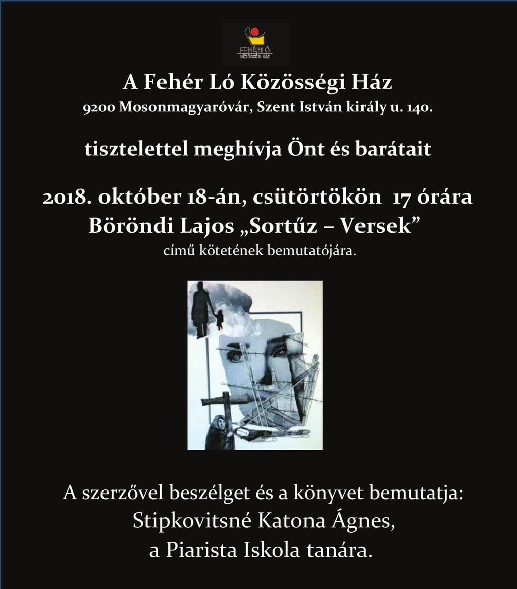 A határ, mint tapasztalat címû tanácskozást a Nyugat-Európai Országos Magyar Szervezetek Szövetsége, a KözépBurgenlandi Magyar Kultúregyesület és Felsõpulya városa közösen rendezték meg.