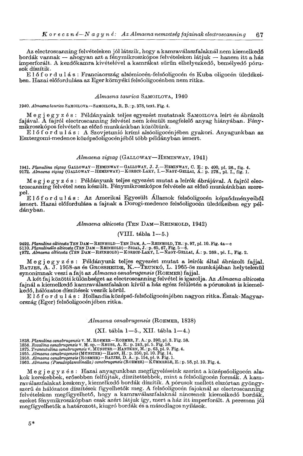 К о r e с z n é N a g у п é: Az Almaenanemzetség fajainak electroscanning 67 Az electroscanning felvételeken jól látszik, hogy a kamraválaszfalaknál nem kiemelkedő bordák vannak ahogyan azt a