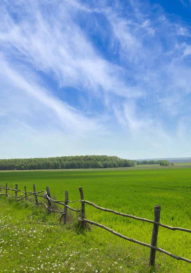 w w w. a g ra r l a p o k. h u HUF 950/$ 4 AGRICULTURAL RESEARCH June 2015 HALÁSZAT Crop Production NAGY JÁNOS főszerkesztő a Magyar Tudományos Akadémia doktora, Debreceni Egyetem prorektora, 108.
