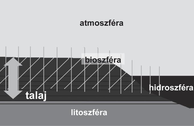 202 GAZDÁLKODÁS 59. ÉVFOLYAM 3. SZÁM, 2015 (201 219) Harmadik nap: gyűljenek egybe az ég alatt való vizek egy helyre, hogy teljék meg a száraz föld, tenger.