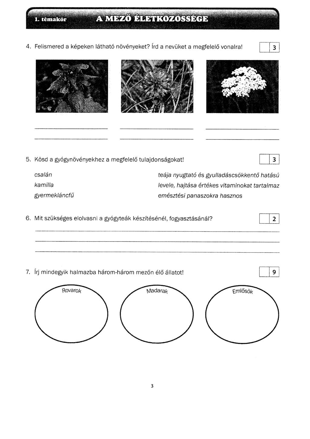 4. Felismered a k6peken ldthato novdnyeket? lrd a nevuket a megfelel6 vonalra! 5. Kosd a gyogyndv6nyekhez a csal6n kamilla g;termeklancfil m egfele15 tu lajdo nsiigokat!