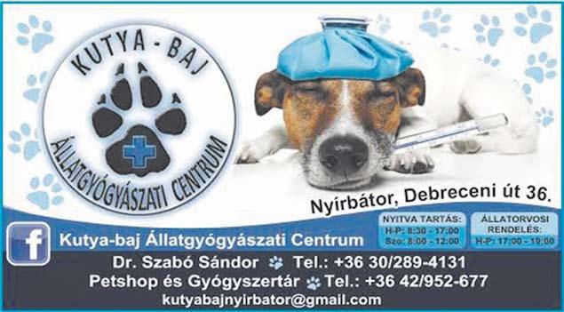 Utalvány elfogadóhely Bankkártyás fizetési lehetőség Supershop pontgyűjtés Fekvőfelület: 150 cm x 200 cm