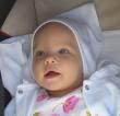 Osztott készítmények/neonatológia kora, kis súlyú újszülött, iu. tr: < 5 napos vvs Családtag donor esetén va-kor jelezni kinek, milyen típusú (sz rt < 48 óra) kész. igény várható (+ irradiálás!