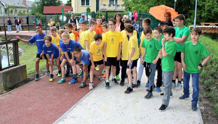 Az idei OBAT-on folytatódott az osztályok bemutatása, illetve a tavalyi előadáson felbuzdulva több állatorvosi téma is helyet kapott a programban, melyek humán vonatkozással is bírtak.