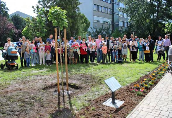 Mint fogalmazott, elsősorban olyan szolgáltatásokat szükséges megvalósítani, melyek az itt élők hétköznapjait is megédesítik.