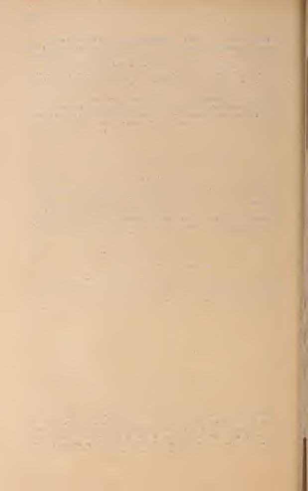 124. In dem Koncentrationstetraeder Hegen die Projektionspunkte in dem Schnitte V. Das k-mg-diagramm siehe aueh im ungarisohen Texte. (Fig. 1.). Nacli dem Xigglisclien-Differentiaticnsdiagramm (Fig.