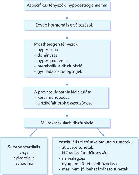 tünetek a vezikulában lévő kövek súlyvesztése