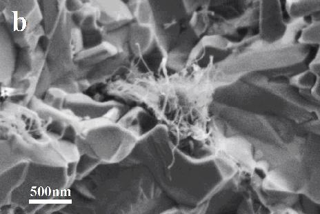 MWCNT O. Tapasztó et al. Chem. Phys. Lett.