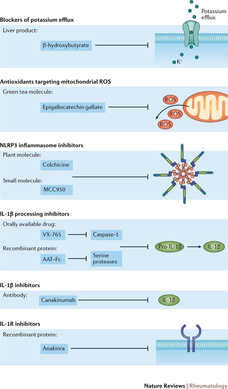 Figure 4 Therapeutic
