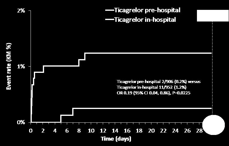 Definite stent