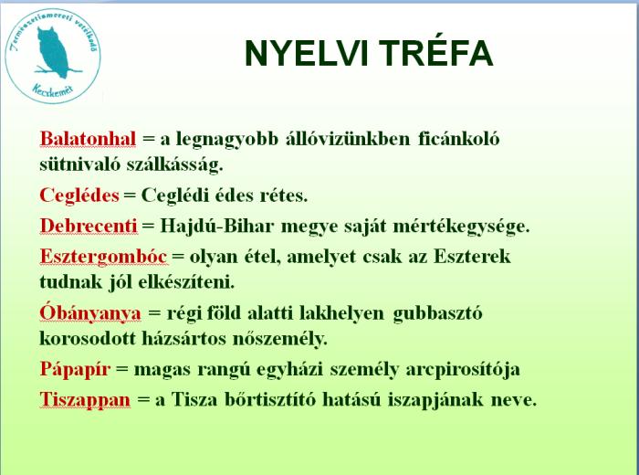 A foglalkozások jó példát mutattak a pedagógusoknak is arra, hogyan lehet egy-egy témát komplex módon megközelíteni, illetve hogyan lehet hatékonyan megtalálni a különböző tantárgyak kapcsolódási