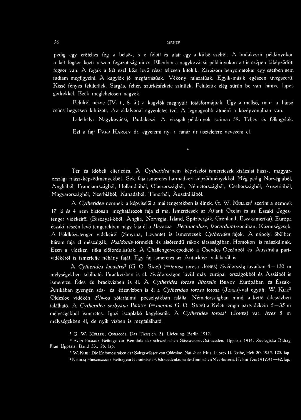 A legnagyobb átmérő a középvonalban van. Lelethely: Nagykovácsi, Budakeszi. A vizsgált példányok száma: 58. Teljes és félkagylók. Ezt a fajt P app K aroly dr. egyetemi ny. r.