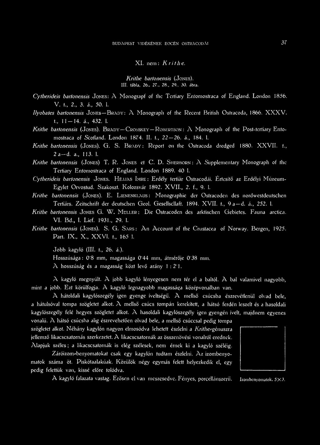 S herborn : A Supplementary Monograph of the Tertiary Entomostraca of England. London 1889. 40 1. Cytherideis bartonensis J ones. H éjjas Imre : Erdély tertiär Ostracodái.