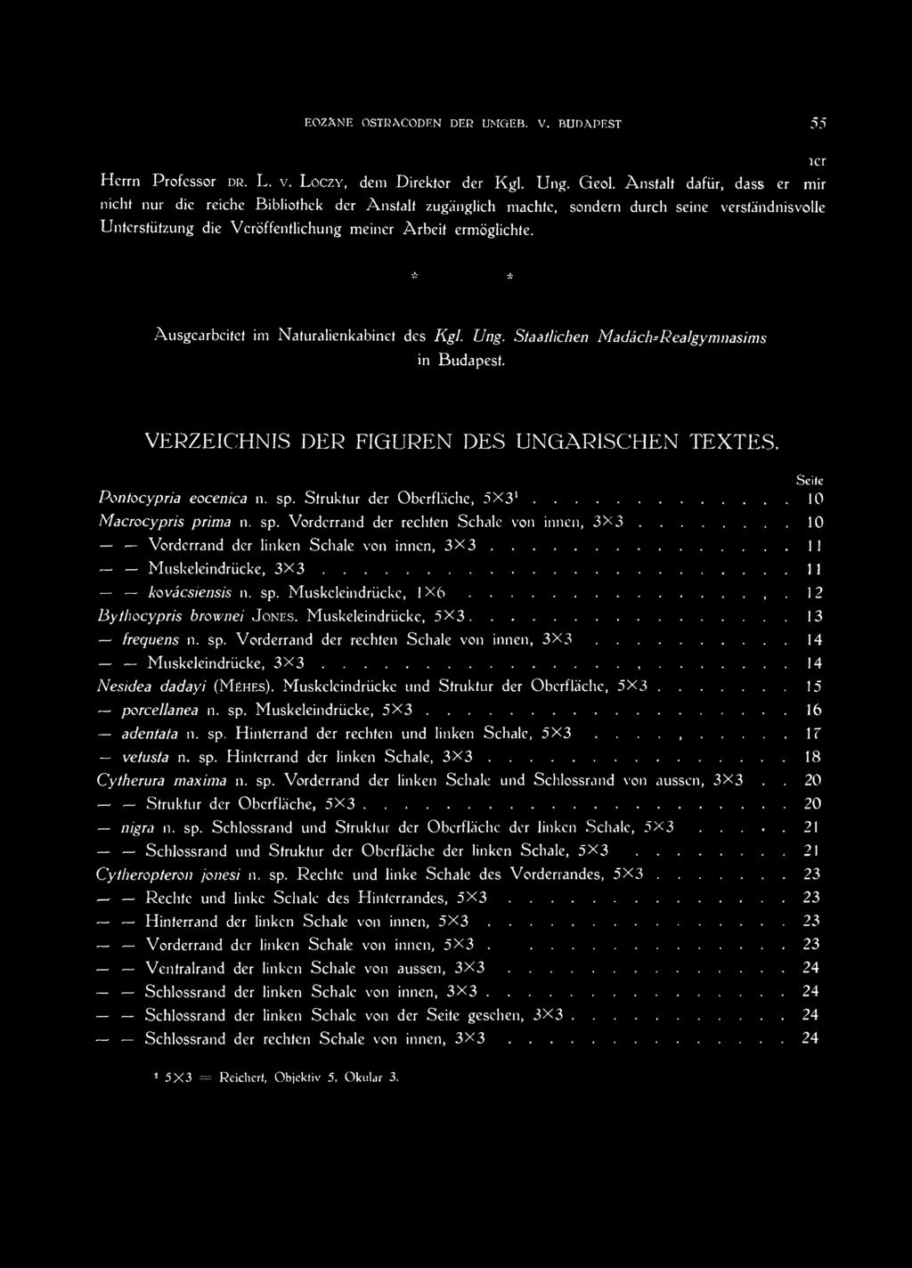 .. 11 kovácsiensis n. sp. Muskeleindrücke, 1 X 6...12 Bythocypris brownei J ones. Muskeleindrückc, 5 X 3...13 frequens n. sp. Vorderrand der rechten Schale von innen, 3 X 3... 14 Muskeleindrücke, 3 X 3.