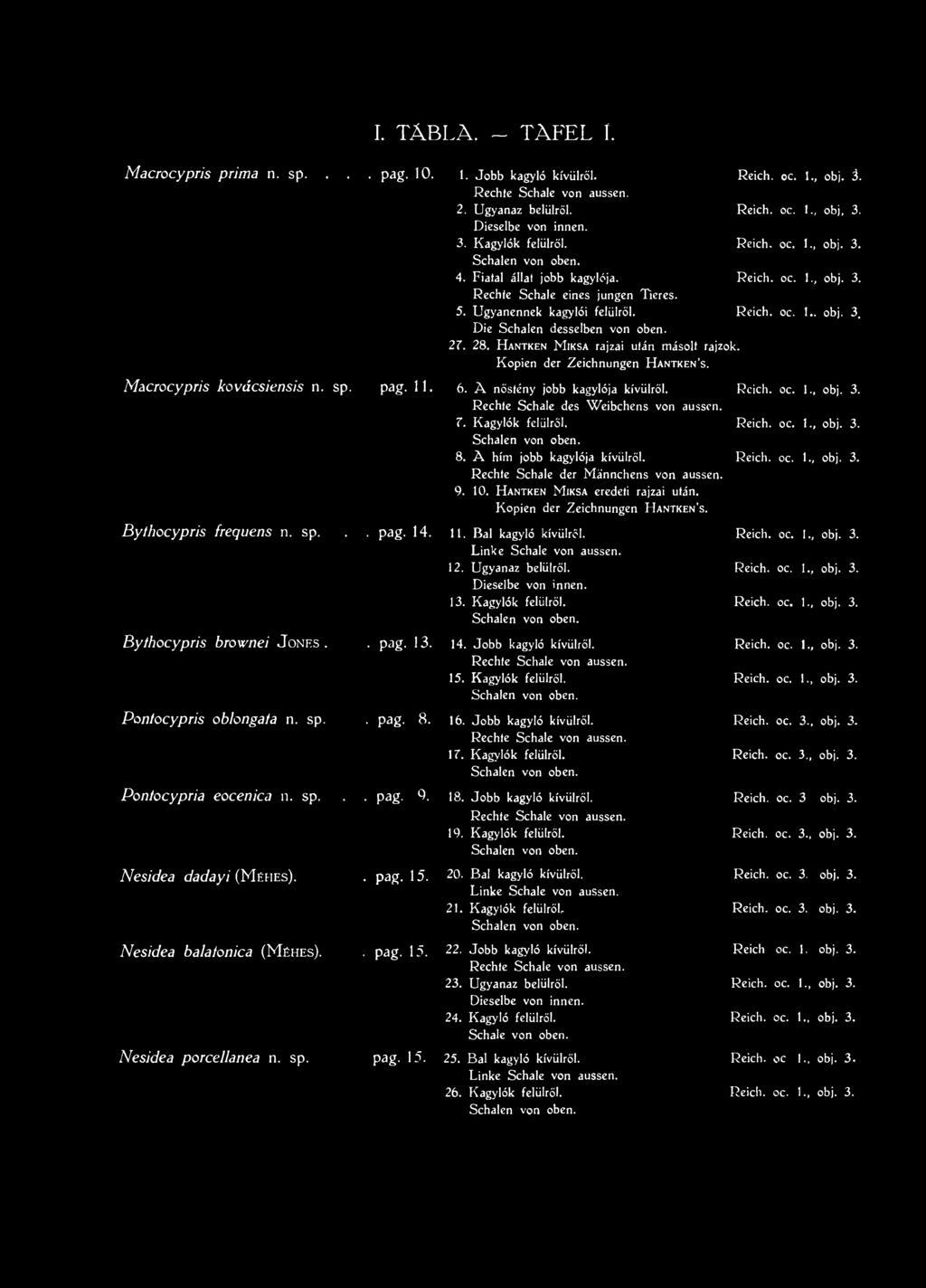 3. Rechte Schale von aussen. 2. Ugyanaz belülről. Reich, ос. 1!., obj, 3. Dieselbe von innen. 3. Kagylók felülről. Reich, ос. 1., obj. 3. Schalen von oben. 4. Fiatal állat jobb kagylója. Reich, ос. 1., obj. 3. Rechte Schale eines jungen Tieres.
