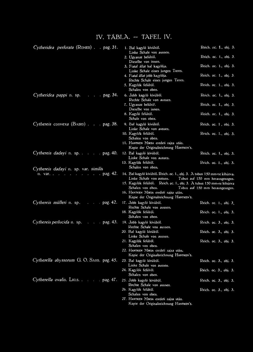 6. 7. 8. 9. 10. 11. 12. 13. 14. Bal kagyló kívülről. Reich, oc. 1., obj. 3. A tubus 150 mindre kihúzva. Linke Schale von aussen. Tubus auf 150 mm herausgezogen. 15. Kagylók felülről. Reich, ос. 1., obj. 3. A tubus 150 mindre kihúzva Schalen von oben.