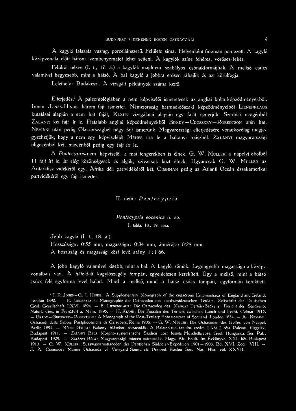 Németország harmadidőszaki képződményeiből L ienenklaus kutatásai alapján a nem hat faját, K lahn vizsgálatai alapján egy faját ismerjük. Szerbiai neogénból Z alányi két fajt ír le.