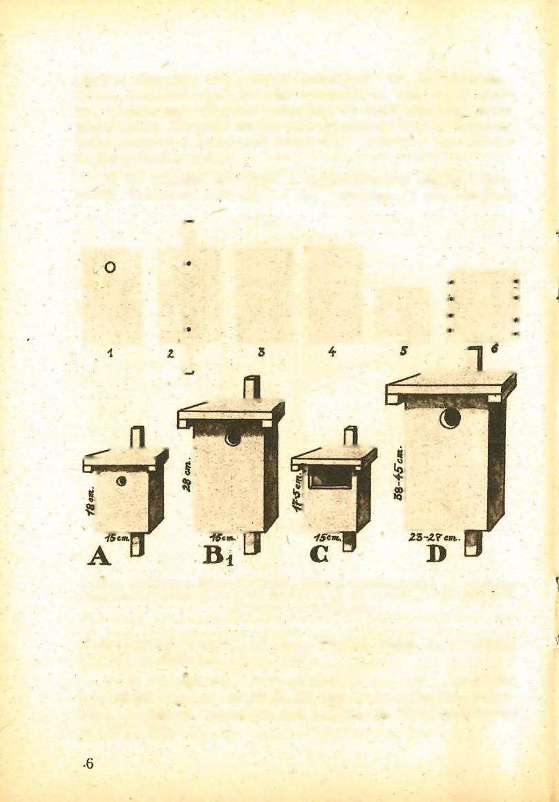 ségét a röpnyílás alsó szélétől számítjuk) 10 cm, szélessége 10 cm, köralakú röpnyílásának átmérője 25 mm.