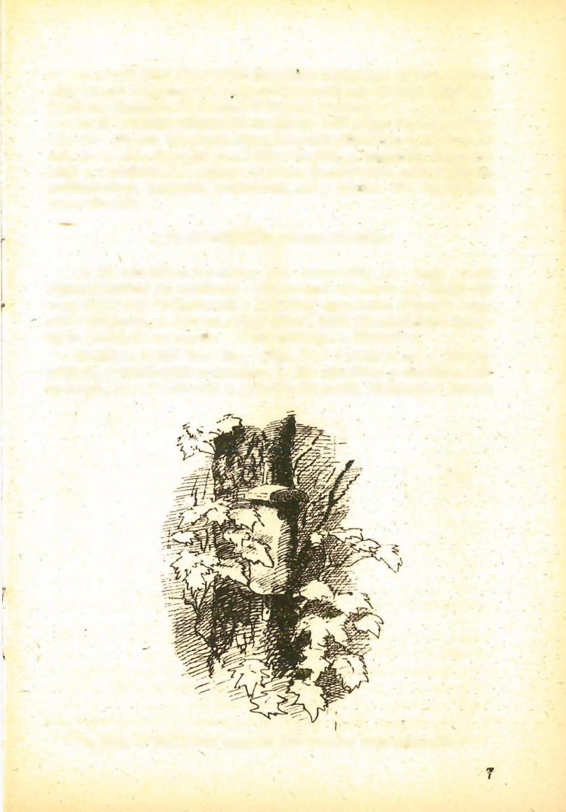 A C mintájú fészekodú üregének mélysége 10 cm, szélessége 10 cm, négyszegletes röpnyílása 5x10 cm. Szürke légykapó, kerti rozsdafarkú és barázdabillegető részére.