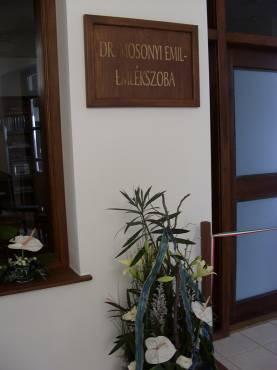 Városház u. 25. sz. vízügyi bemutatóházban Dr.Mosonyi Emil Professzor úr 100.