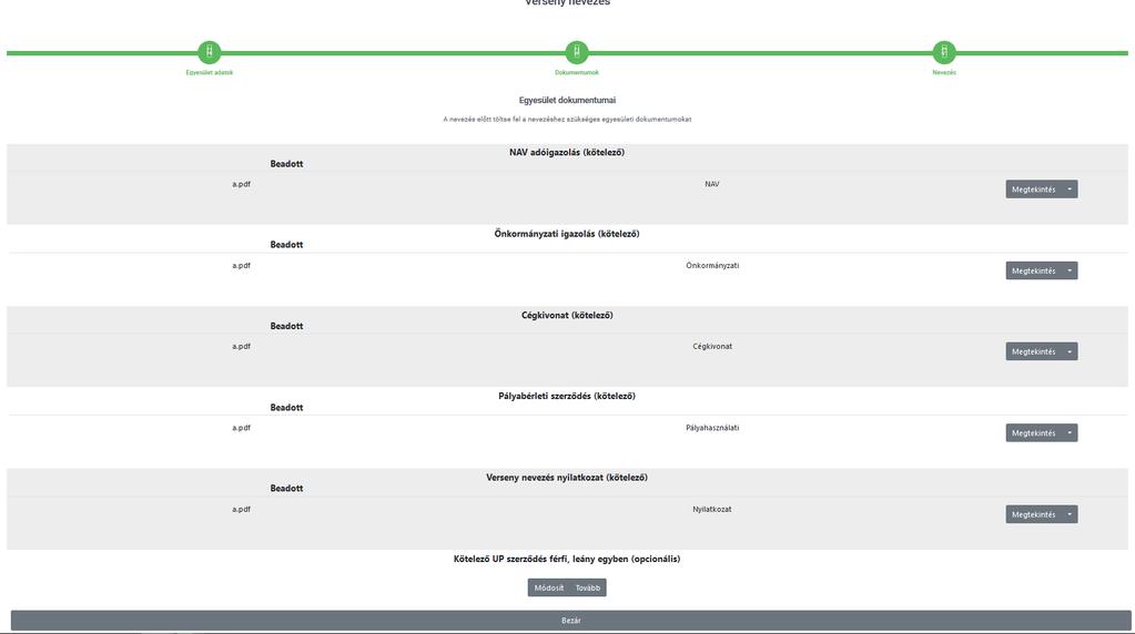Dokumentumok Következő lépésben a szükséges dokumentumokat lehet ellenőrizni és feltölteni.