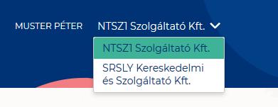 2.4. Szálláshely-szolgáltató kiválasztása A felület jobb felső sarkában lehet kiválasztani melyik szolgáltatót szeretnénk kezelni.