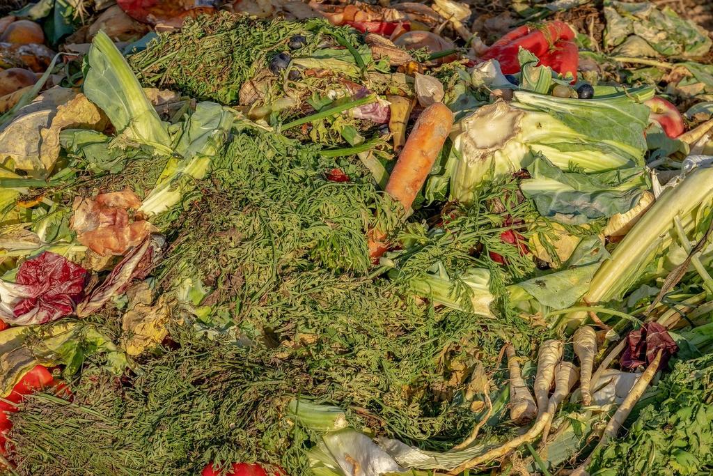 Az egyik nagy hulladékproblémával küzdő ország Hollandia - az Egyesült Államok után, (érték szerint) a második legnagyobb mezőgazdasági termék exportőr.