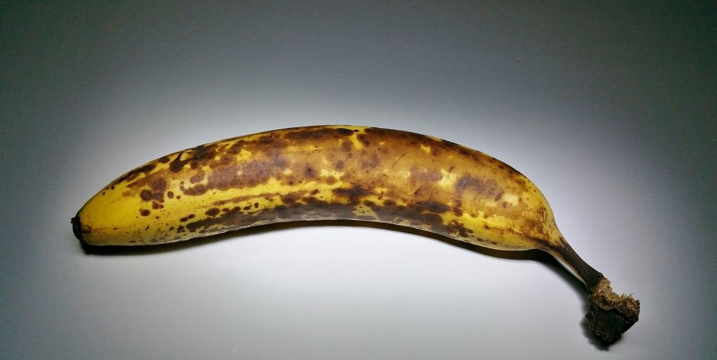 Elég egyetlen egy érett banán, hogy az egész szállítmány akár tizenöt százalékát tönkre tegye, ami hatalmas mennyiségű pocsékba ment árut eredményez.
