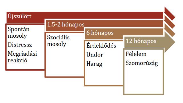 (internalizáló negatív érzelmek), illetve a haragot és megvetést, undort (externalizáló negatív érzelmek) (Chaplin & Aldao, 2013).