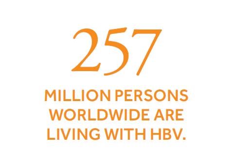 Krónikus vírushepatitisek HBV HCV Halálozás
