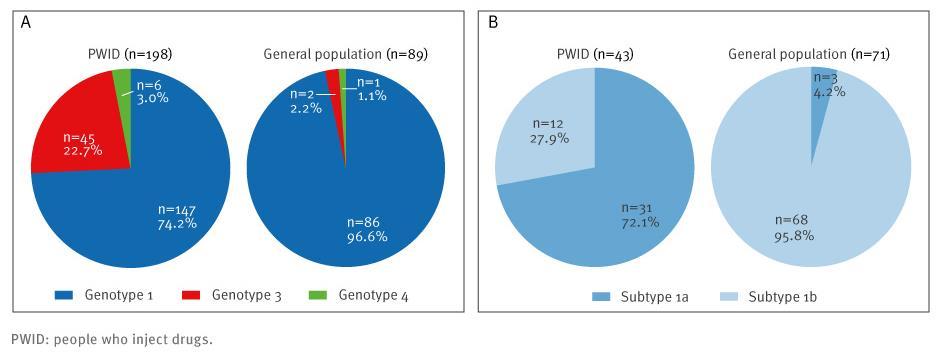 HCV genotípus megoszlás a PWID populációban és az átlag