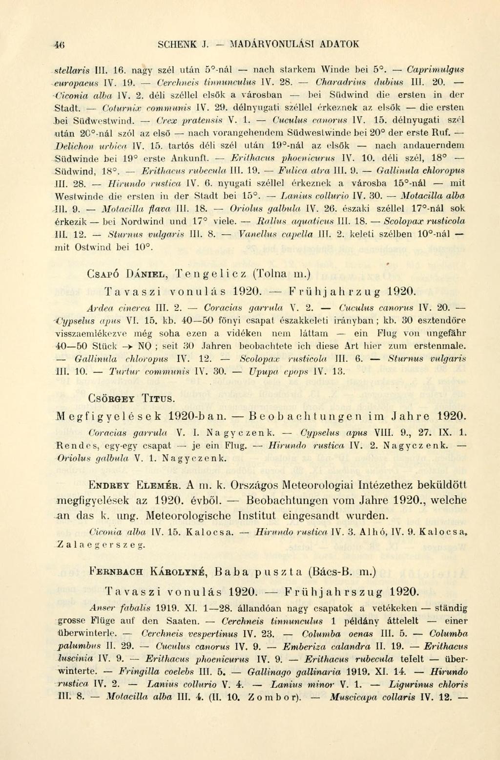 SCHENK J. - MADÁRVONULÁSI ADATOK stellaris III. 16. nagy szél után 5 -nál nach starkem Winde bei 5. Caprimulgus europaeus IV. 19. Cerchneis tinnuneuhts IV. 28. Charadrius dubius III. 20.