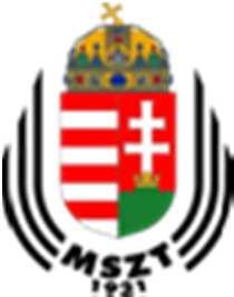Útmutató a portfóliókezeléshez szabvány magyar kiadása Szakmai fórum, 2017. május 9. kedd Az MSZ ISO 21504:2017 Projektvezetés, program- és portfóliókezelés.