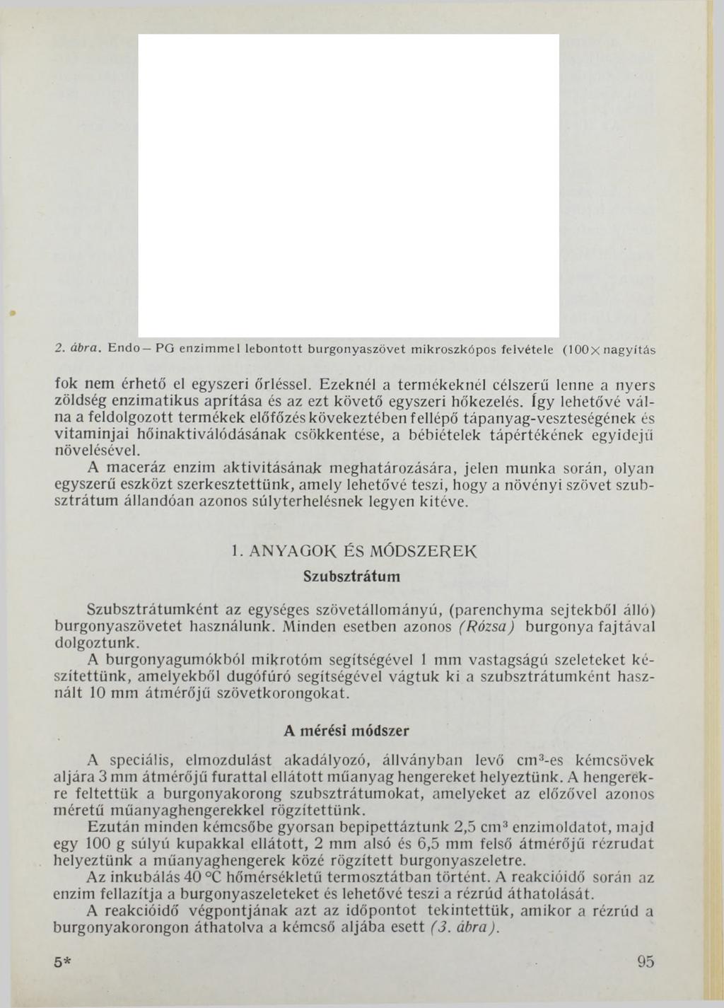 2. ábra. Endo PG enzimmel lebontott burgonyaszövet mikroszkópos felvétele (loox nagyítás fok nem érhető el egyszeri őrléssel.