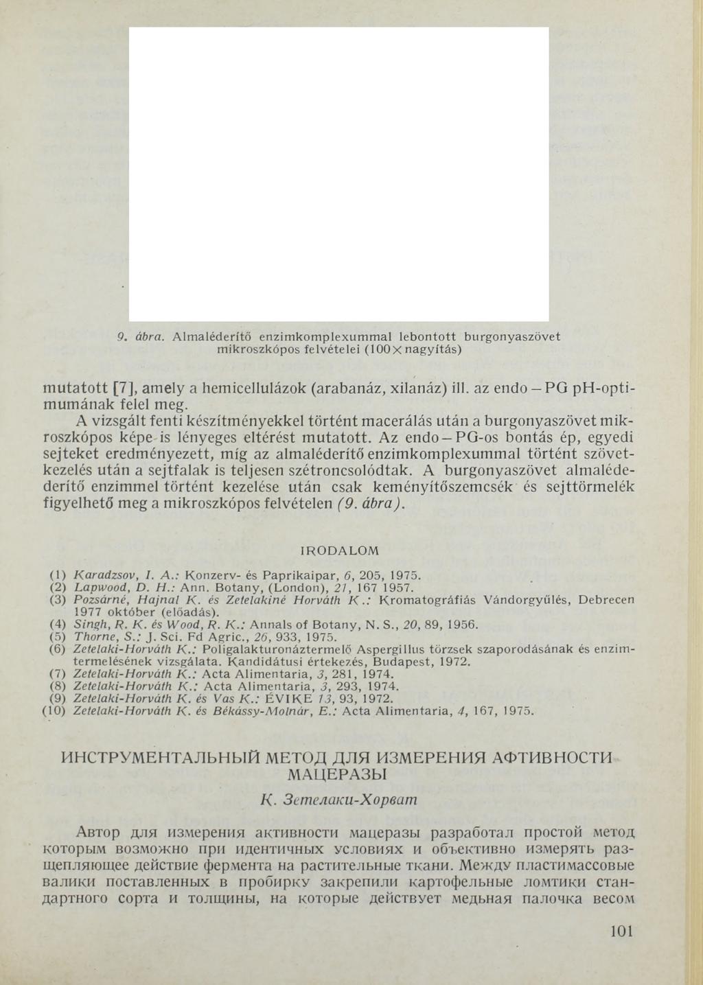 9. ábra. A lm aléderítő enzim kom plexum m al lebonto tt burgonyaszövet mikroszkópos felvételei (100x nagyítás) mutatott [7], amely a hemicellulázok (arabanáz, xilanáz) ill.