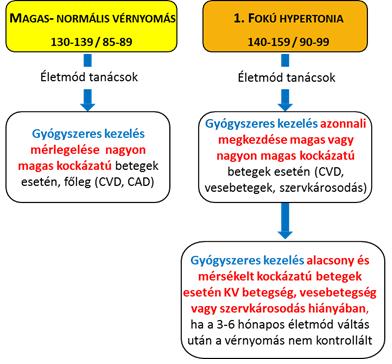 Vérnyomás kezelésének