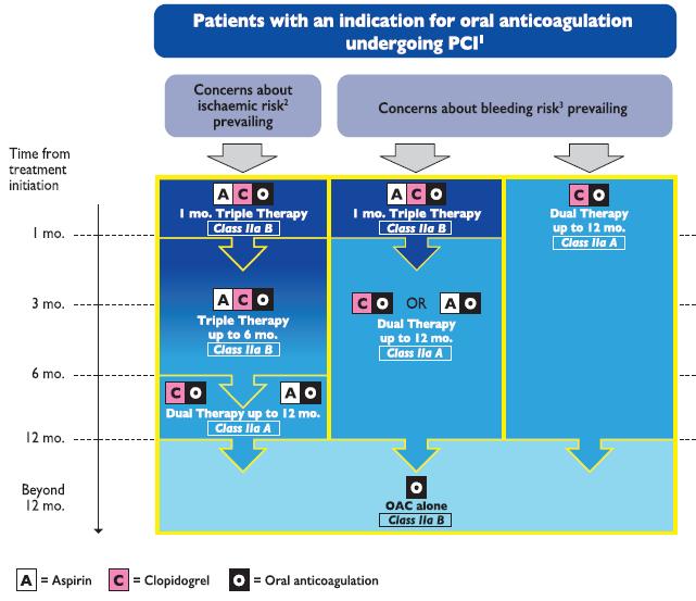 TCT AGGREGÁCIÓ GÁTLÁS SZEKUNDER PREVENCIÓBAN Antikoaguláns kezelés és DAPT DAPT ESC 2017 szakmai irányelv alapján 1 2017 ESC focused
