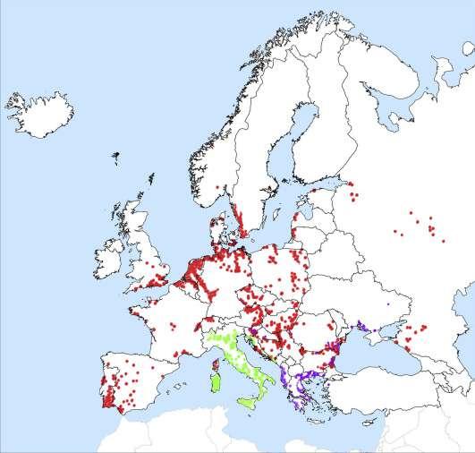 Emberi maláriát terjesztő vektorok Európában (Anopheles spp.