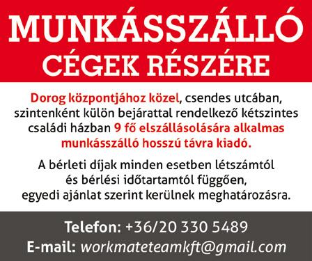 Elvárásaink: A szakmai előírásoknak megfelelően, a megrendelői igények alapján hajtja végre a fa alapanyagokból készült