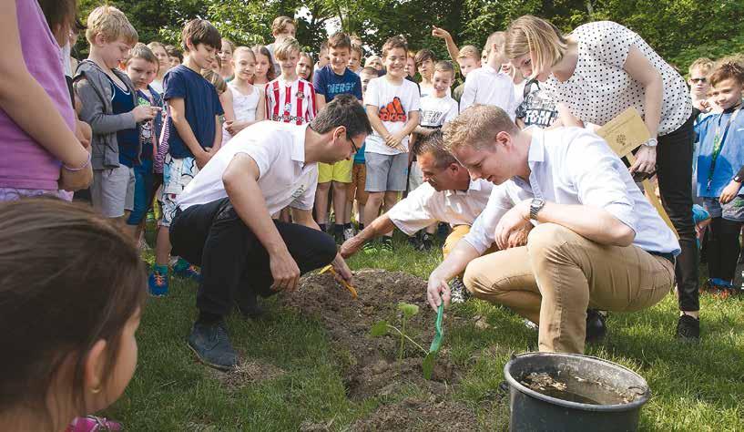 Kerületi zöldfelületek számokban Budafok-Tétényben 540 000 m 2 kezelt zöldfelület található, melyeket folyamatosan fejlesztünk, gondozunk.