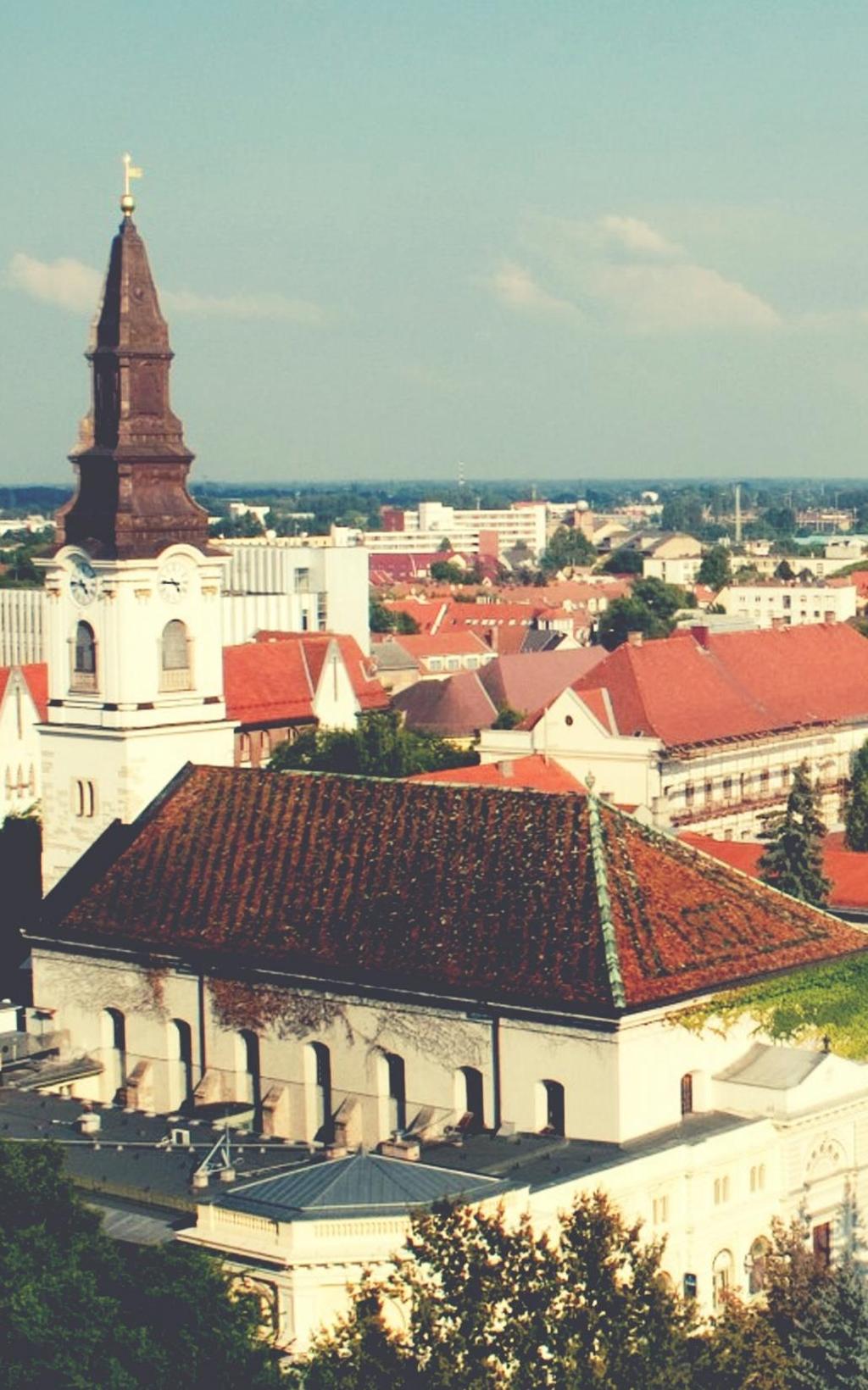 VÁLLALATI KÖRNYEZET FEJLESZTÉSE MUNKACSOPORT FÓKUSZTERÜLETEI Beszállító-fejlesztési program