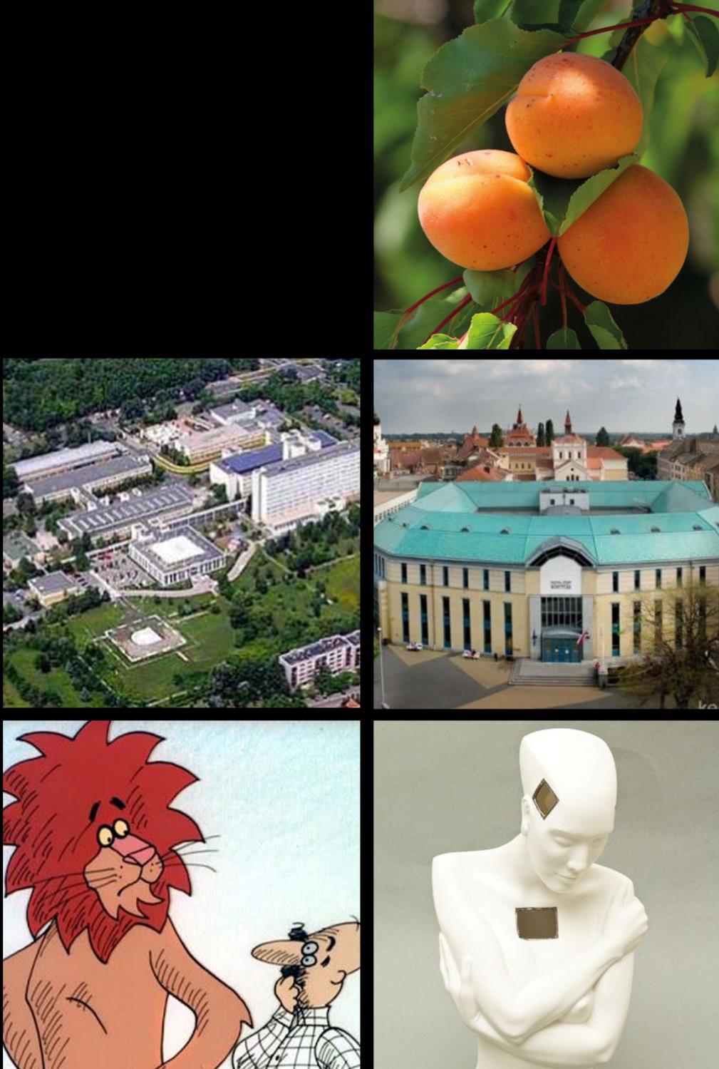 KECSKEMÉT VÁROSFEJLESZTÉSI LEHETŐSÉGEIT