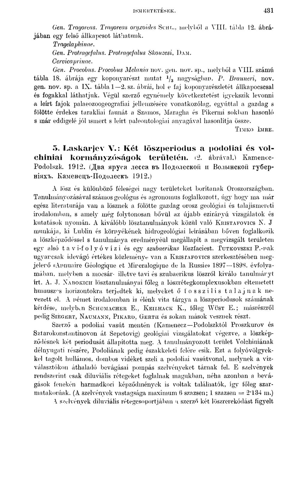 ISM KHTKTÉSKK. 481 Gen. Tragoreas. Tmgoreas oryxoides Sem,., melyből a VIII. tábla 12. ábrájában egy felső állkapcsot láthatunk. Tragelaphinae. Gén. Protmgefcdus. Protragefalus Skouzesi, Dam.