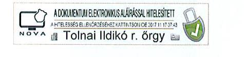 A kapitányság kiadmányozási, illetve aláírási jogosultsággal rendelkező munkatársai által használt elektronikus aláírás és annak grafikus megjelenítése tartalmazza legalább: a) A dokumentum személyes