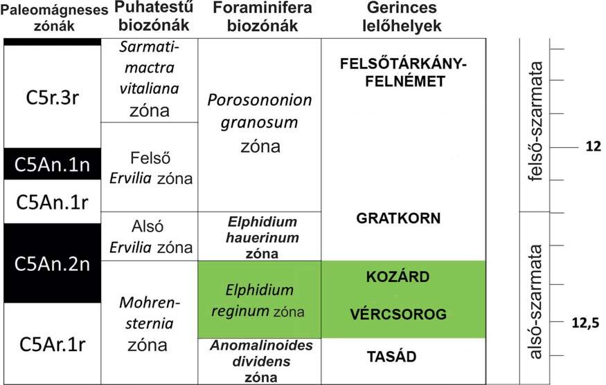 ElphidiumE. crispume. aculeatum Az E. crispum Posidonia Udotea E. aculeatum arborescens Elphidium Elphidium E.
