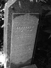 178 Bányai Viktória Kormos Szilvia Felsőszeli, 30. sír kő Ép, ál ló kő. (A fotót Kormos Szilvia készítette.) For dí tás: Itt van el rejt ve / a jám bor és be csü le tes fér fi, tisz telt ta ní tónk R.